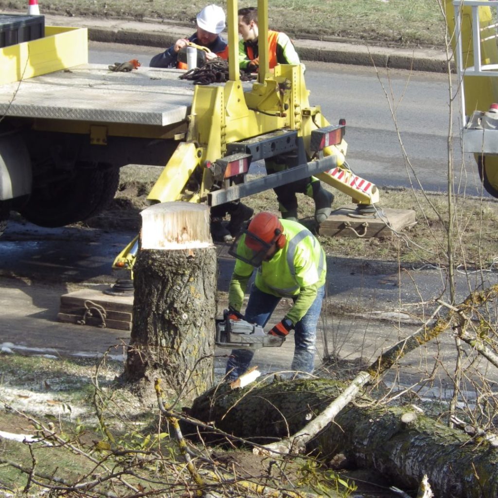 Olsztyńska masakra piłą mechaniczną