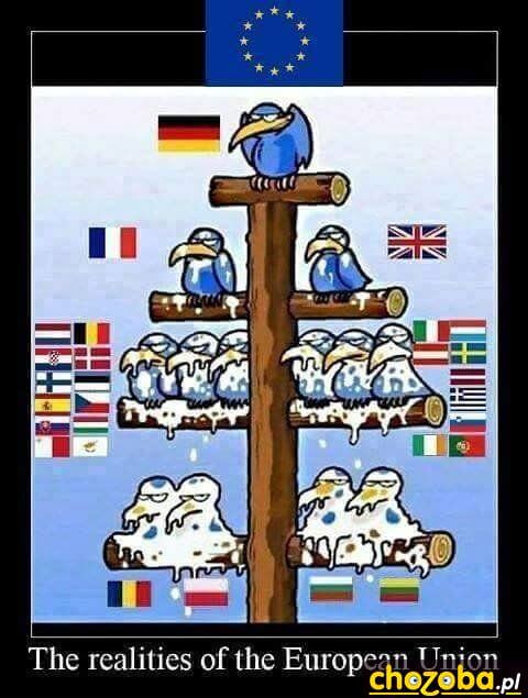 Hierarchia w UE